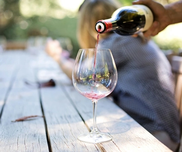 Luxury Winery Trip of Long Island, New York, USA