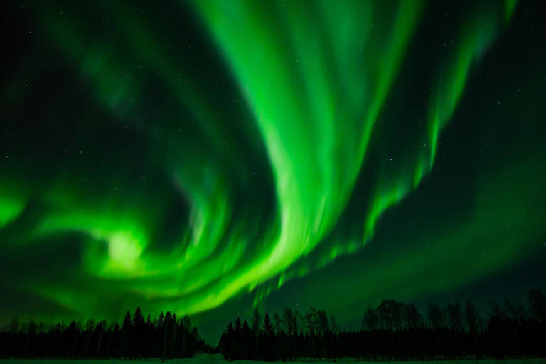 Rovaniemi: Aurora Hunting with 100% Refund. Small Group. Rovaniemi: Aurora Treasure Expedition & Refund (Standard)