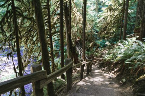 Seattle And Olympic NP Self-Guided Audio Bundle Tour