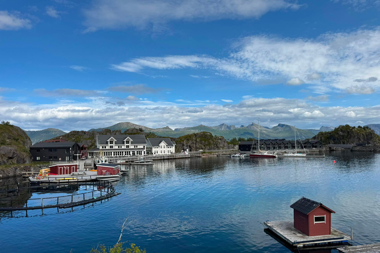 Tromso: SENJAtional: Sommaroy and Senja (7 people max) Tromso: One Day Trip to Senja