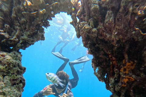 Pemuteran Bali: Menjangan Island Snorkeling Trip with Lunch