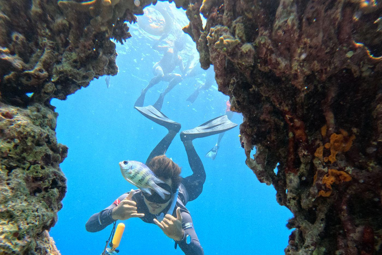Pemuteran Bali: Menjangan Island Snorkeling Trip with Lunch