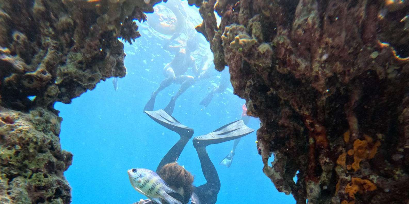 Pemuteran Bali: Menjangan Island Snorkeling Trip with Lunch