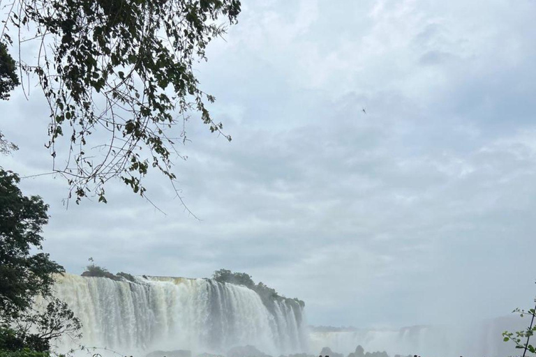 Brazil Iguazu Falls: Private Tour & Optional Macuco Safari Iguazu Falls BR: Private Tour and Optional Macuco Safari