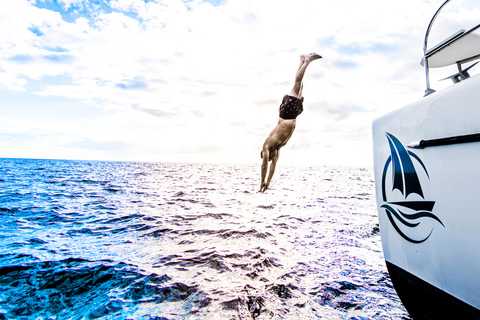 Tenerife: PRIVATE Catamaran cruise with Lunch and Drinks