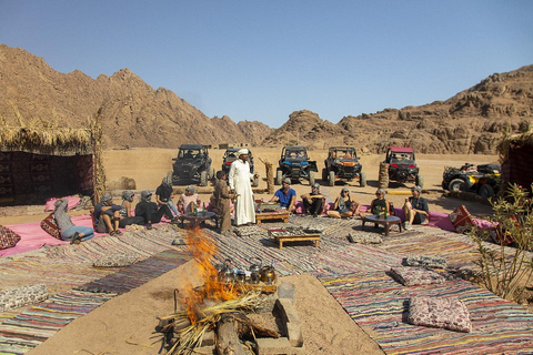 Sharm El Sheikh: excursión en quad y safari por el desierto con servicio de recogida