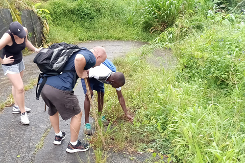 Esplora la magia di Grenada: tour privato dell&#039;isola delle spezie