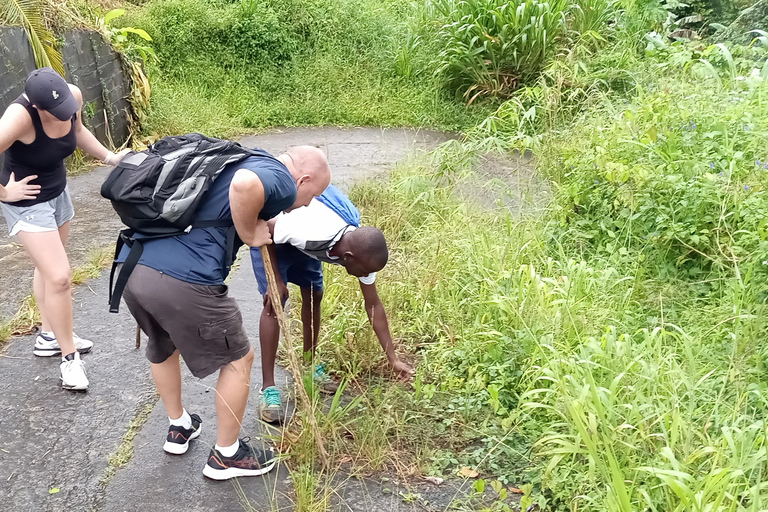 Esplora la magia di Grenada: tour privato dell&#039;isola delle spezie