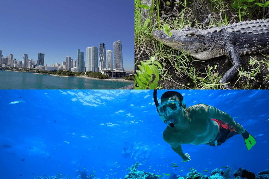 3-tägiger Florida-Trip: Miami, Everglades & Schnorcheln in Key West. Foto: GetYourGuide