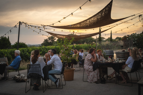 Dinner in the vineyards & wine tasting at Domaine Allegria