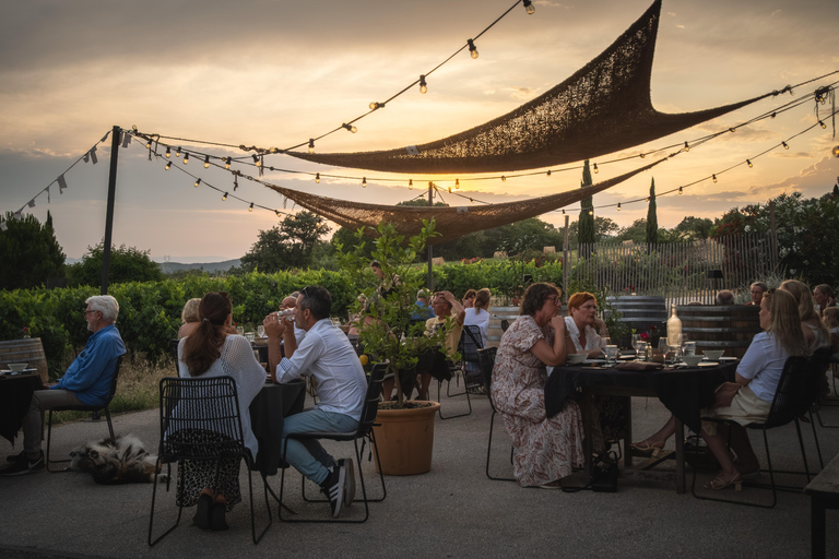 Dinner in the vineyards & wine tasting at Domaine Allegria