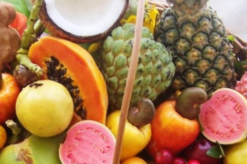 Salvador : visite de dégustation de fruits tropicaux dans un marché localDégustation privée de fruits