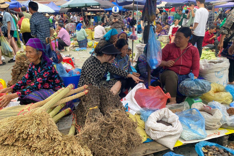 From Sapa: 1D Local Bac Ha Sunday Market Tour - Best Seller Bac Ha Market Tour with Local Lunch ( Lunch Included )