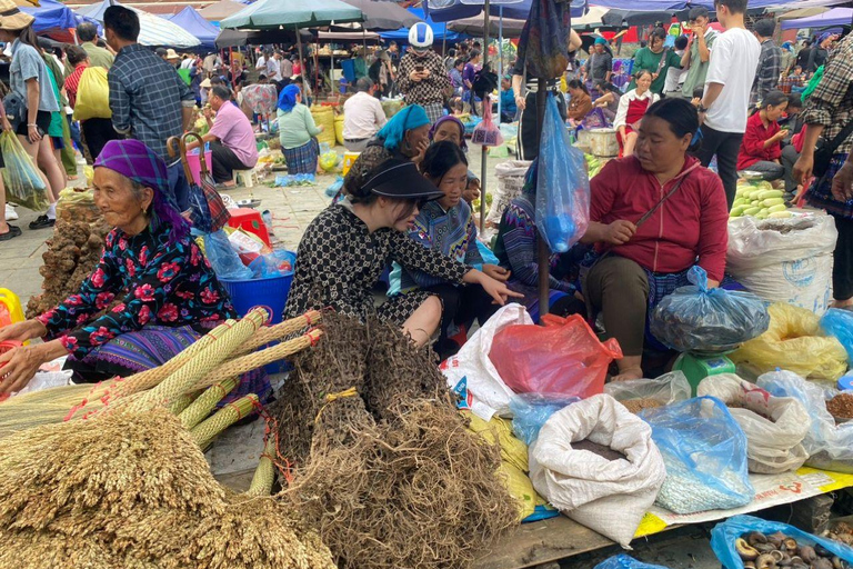 From Sapa: 1D Local Bac Ha Sunday Market Tour - Best Seller Bac Ha Market Tour with Local Lunch ( Lunch Included )