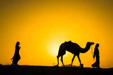 Sunset &camel ride and luxury dinner with fire show