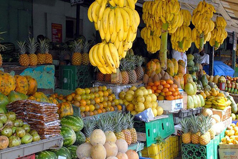 Punta Cana: Halbtägige Truck-Safari mit Mittagsbuffet