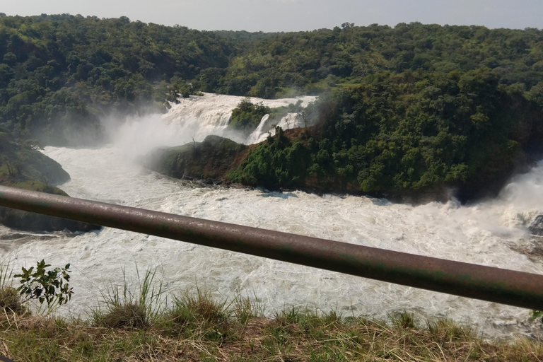 Parco delle Cascate Murchison: Safari di 3 giorni con il Santuario dei Rinoceronti di Ziwa