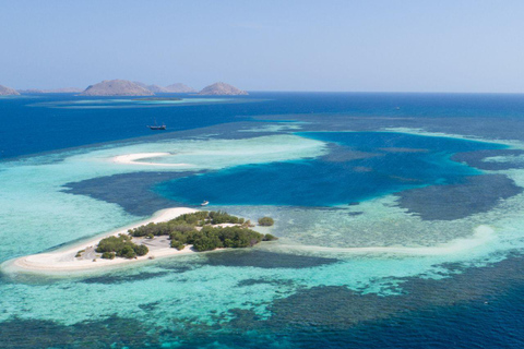 Excursion d'une journée à Komodo en bateau rapide