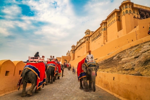 From Delhi: Private Jaipur Guided, City Tour with Transfers Car with Driver and Tour Guide Services Only