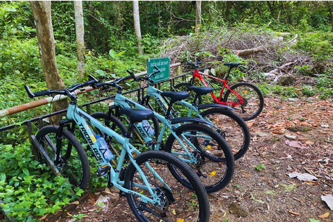 Dalat ao Parque Nacional Cat Tien, desembarque em Ho Chi MinhTour privado de carro