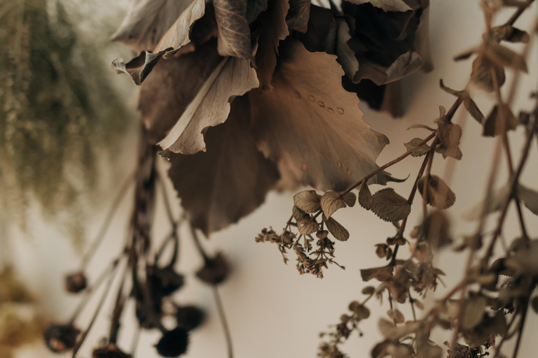 Herbal Ritual in a Hidden São Paulo Plant Studio