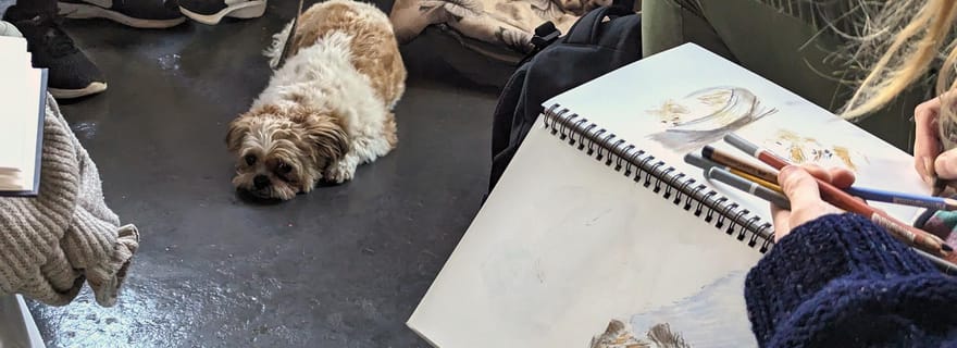 Bristol : Dessin de la vie d'un chien par l'artiste local Cai Burton