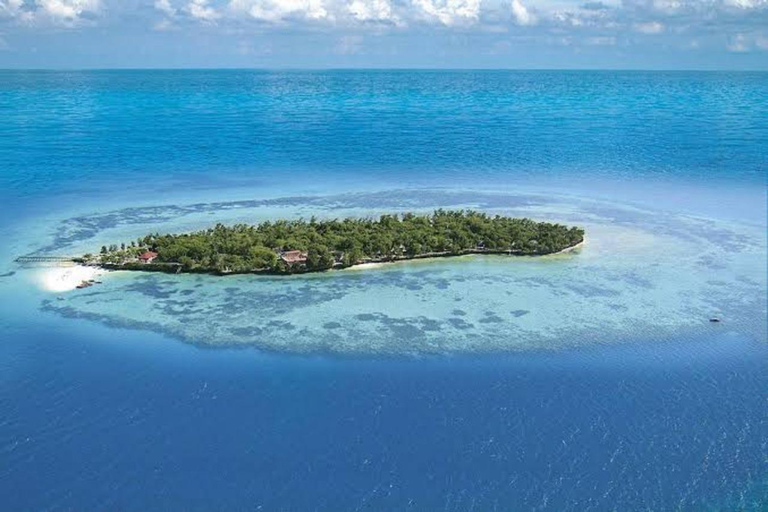 Zanzibar: tour di mezza giornata a Prison Island con snorkelingZanzibar: tour di mezza giornata all'Isola della Prigione con snorkeling