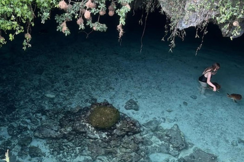 Zanzibar: Zwemmen met schildpadden in het Salaam Grot AquariumHoteltransfer overal in Zanzibar