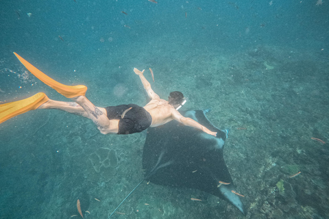 从巴厘岛出发：努沙佩尼达魔鬼鱼浮潜私人乘船观光共享游船之旅（含午餐，巴厘岛酒店接送服务）