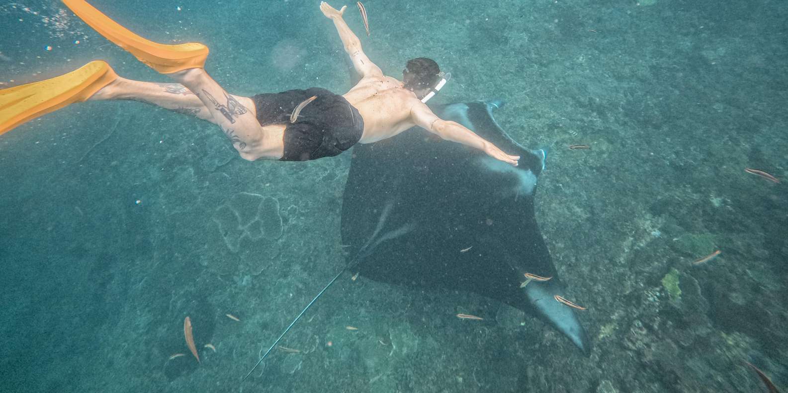 Bali: Premium Yacht Nusa Penida Manta Snorkeling & Land Tour — gallery image 20