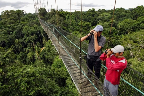 Aventure dans la forêt amazonienne, 4 jours
