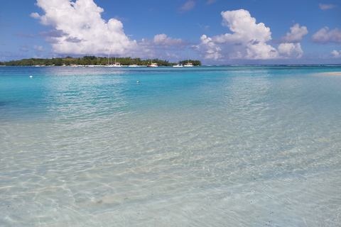 Playa Pública de Tamarin: Natación con delfines y snorkel con barbacoa