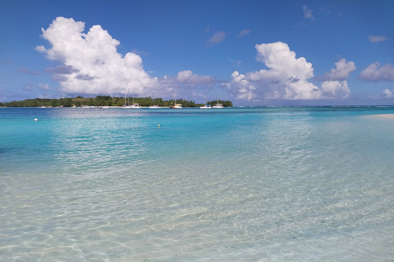 Playa Pública de Tamarin: Natación con delfines y snorkel con barbacoa