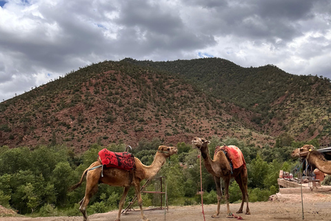 From Marrakesh: Private Atlas Mountains Day Trip {5-Valleys} Private Atlas Mountains Day Trip from Marrakech with Lunch