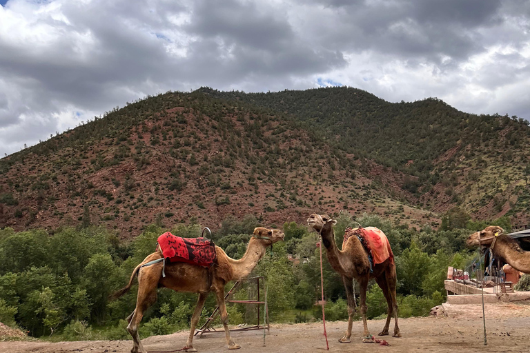From Marrakesh: Private Atlas Mountains Day Trip {5-Valleys} Private Atlas Mountains Day Trip from Marrakech with Lunch