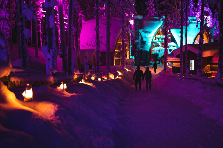 Levi：Arcandia，精灵法庭/日光和公园/黑暗精灵法庭：3 小时体验和公园之旅