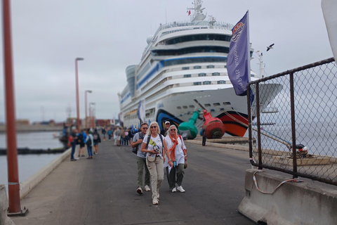 Walvis Bay to Swakopmund Tour: Coastal Gems & Desert Magic