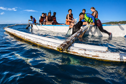 Cebu: Oslob Whale Shark Encounter with Hotel Transfers Shared/ Group Tour Options