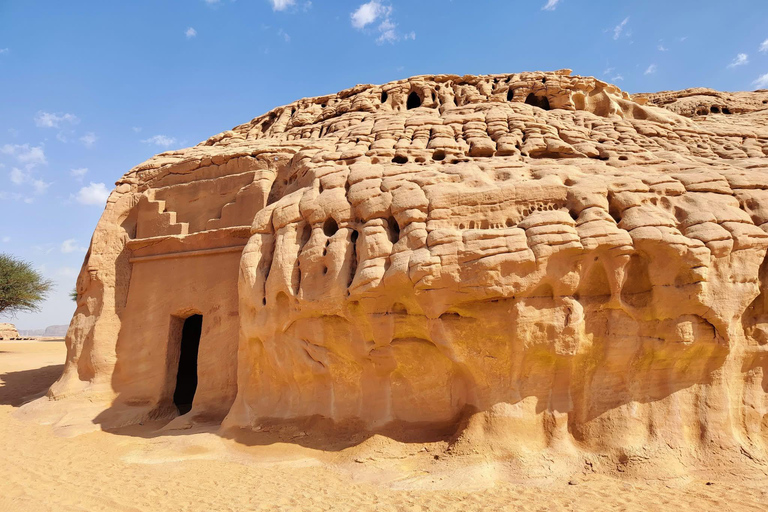 Al-Ula: Hegra, Old Town, and Rock Elephant walk tour