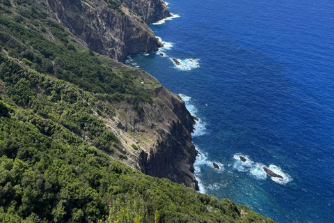 Madeira: Vereda do Larano Guided Hike with Views