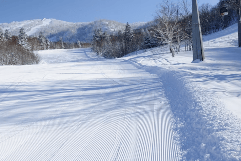 Viagem de 1 dia fretada de 10 horas a Hokkaido｜Otaru