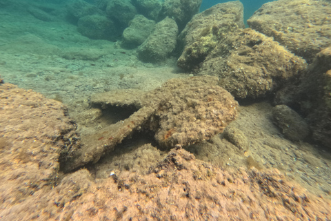 PAPHOS: Snorkeling at the Marine Park (shore)