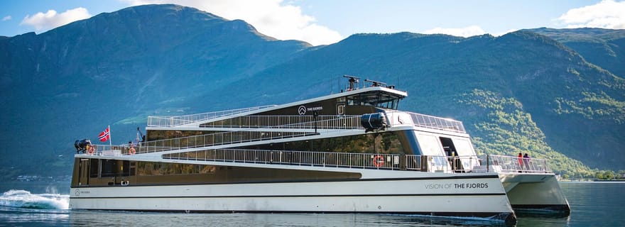 Visite privée d'une journée - Chemin de fer de Flam et croisière dans les fjords depuis Bergen