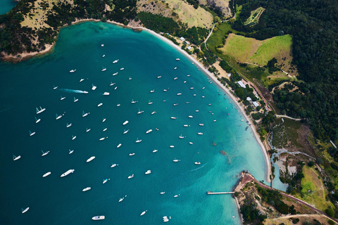 Auckland: Man O' War Vineyard Ferry and Packages 9:30am Departure Weekends - Ferry Only