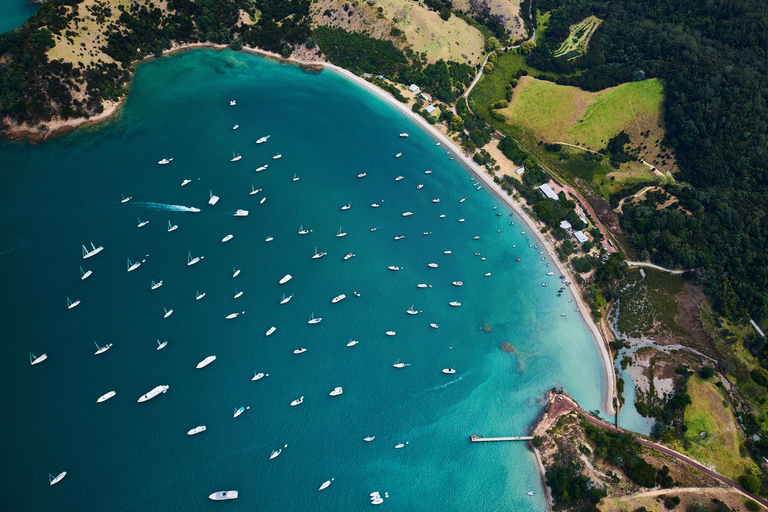 Auckland: Man O&#039; War Vineyard Veerboot en Arrangementen9:30 Vertrek Weekends - Alleen Veerboot