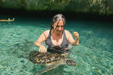 ZANZIBAR: Salaam Cave Sea Turtle Swim, Feed & Hotel Transfer