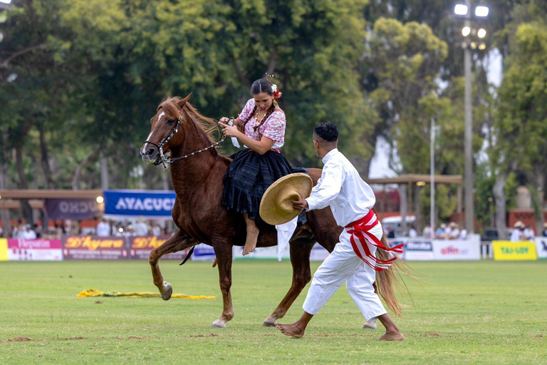 Von Trujillo: Paso Horse und Marinera Show + Mittagessen inklusive