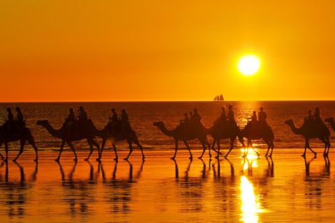 Taghazout: Sunset Beach Camel Ride with Hotel Transfers