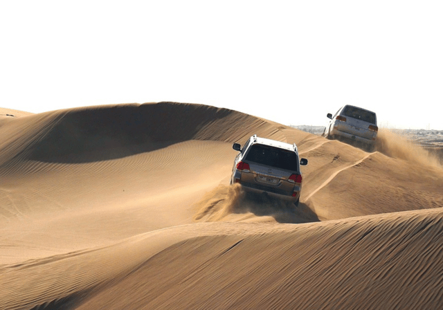 Doha: Desert Safari, Dune Bashing, and Sandboarding Tour