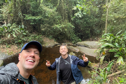 San Paolo: Escursione nella foresta atlantica con un biologoSan Paolo: Escursione di un giorno nella foresta atlantica con un biologo